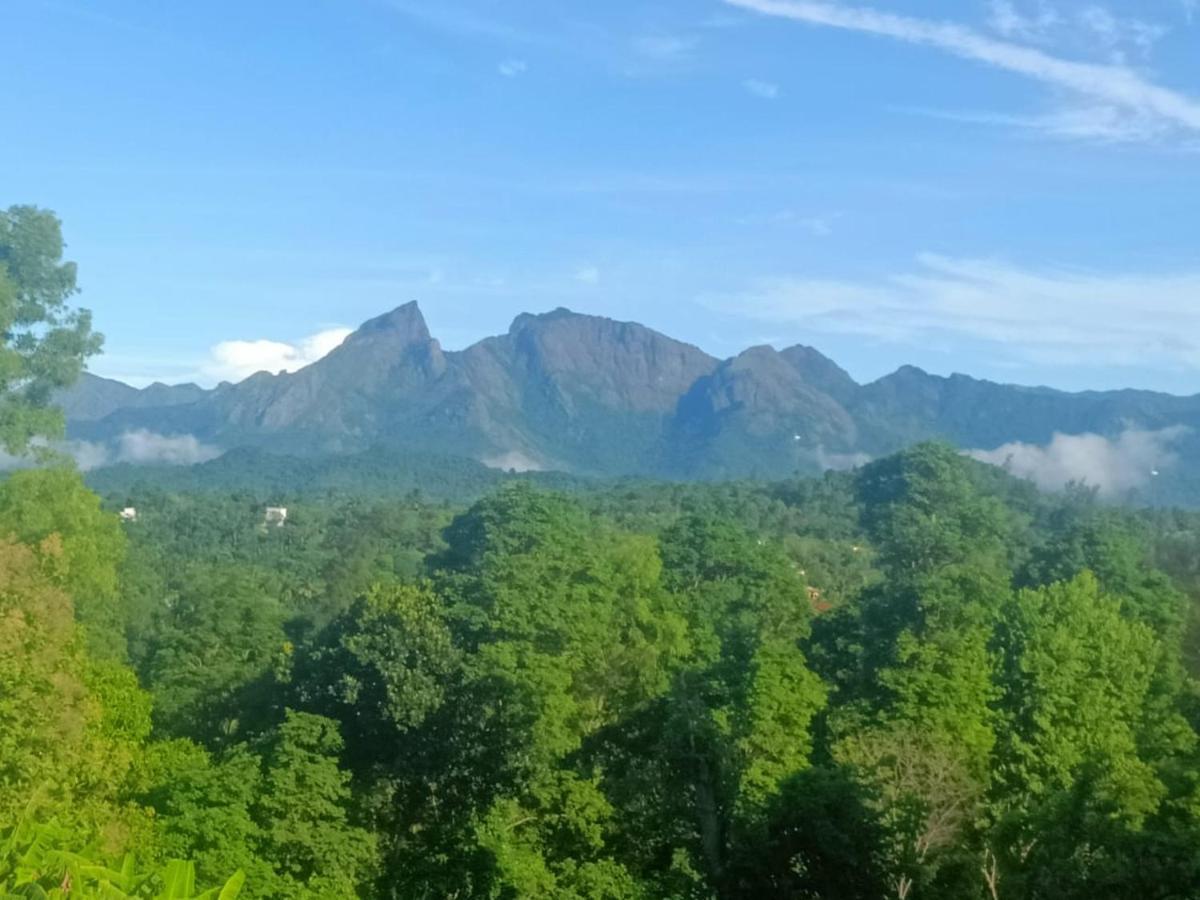 Padavayal Greens Attappādi Exteriér fotografie